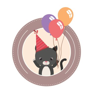 Doğum günü kartı ve şapka partisi ile kedi