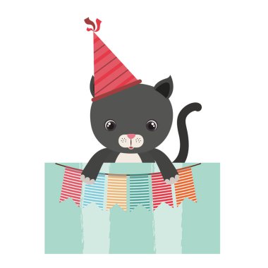 Doğum günü kartı ve şapka partisi ile kedi