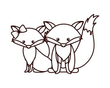 beyaz arka planda tilki sevimli çift