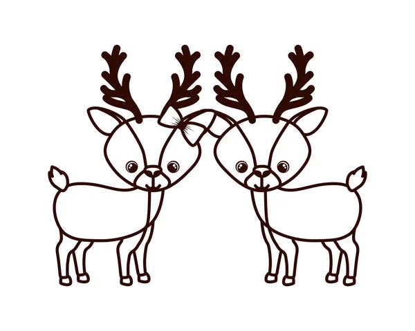 Cute couple of deers on white background — Stock Vector