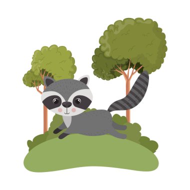 arka plan manzara ile sevimli rakun