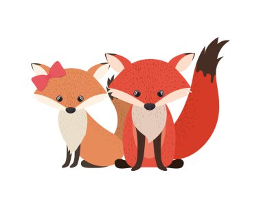 beyaz arka planda tilki sevimli çift