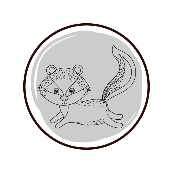 Słodkie i urocze Skunk z okrągłą ramką — Wektor stockowy