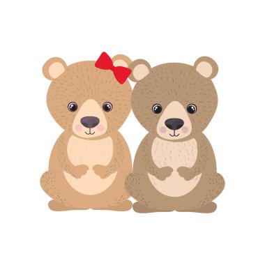 beyaz arka plan üzerinde ayılar sevimli çift