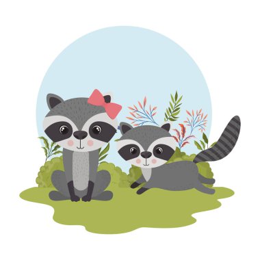 arka plan manzara ile rakun sevimli çift