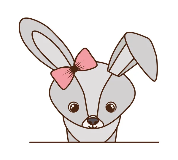 Carino e adorabile coniglietto con sfondo bianco — Vettoriale Stock