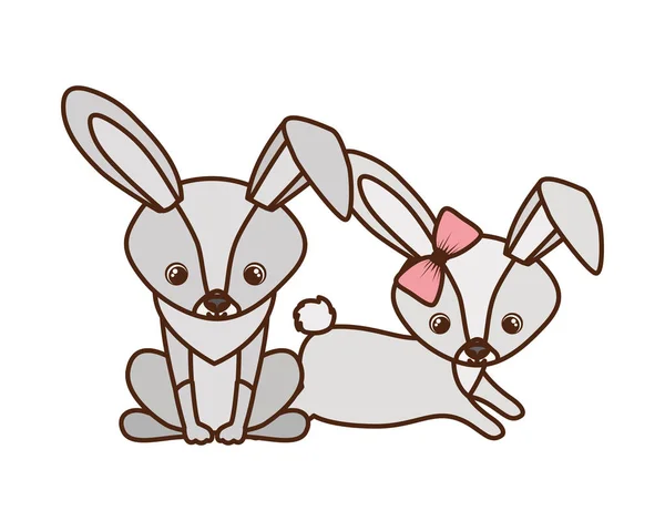 Cute couple of rabbits on white background — Stock Vector