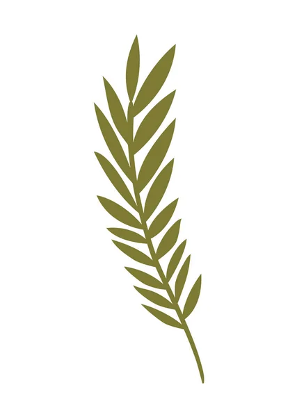 Branch with leaves isolated icon — Stock Vector