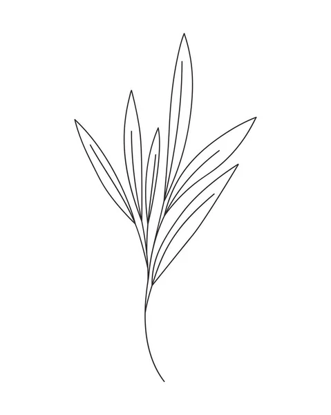 Silueta větve s listy na bílém pozadí — Stockový vektor