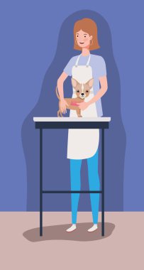 sevimli chihuahua köpek hayvan karakteri