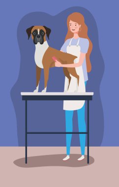 sevimli boksör köpek hayvan karakteri