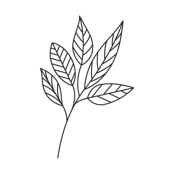 白い背景に葉を持つ枝のシルエット — ストックベクタ