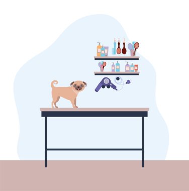 sevimli köpek pug evcil hayvan karakteri