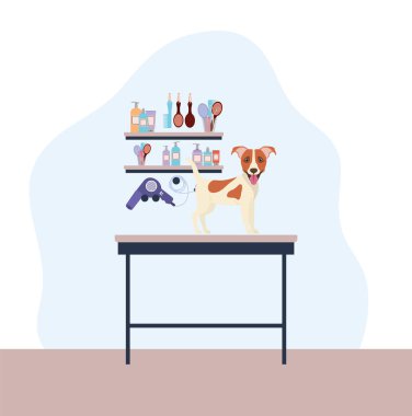 sevimli jack russell terrier köpek hayvan karakteri