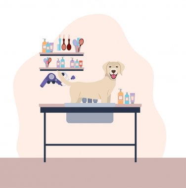 sevimli labrador retriever köpek hayvan karakteri