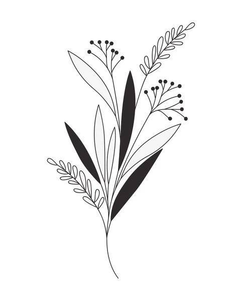 흰색 배경에 나뭇잎이있는 가지의 실루엣 — 스톡 벡터