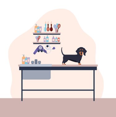 sevimli dashhund köpek hayvan karakteri