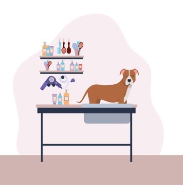 sevimli pitbull köpek hayvan karakteri