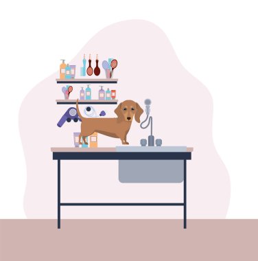 sevimli dashhund köpek hayvan karakteri