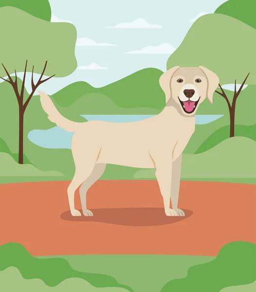 Lindo labrador retriever perro mascota personaje en el campamento — Vector de stock