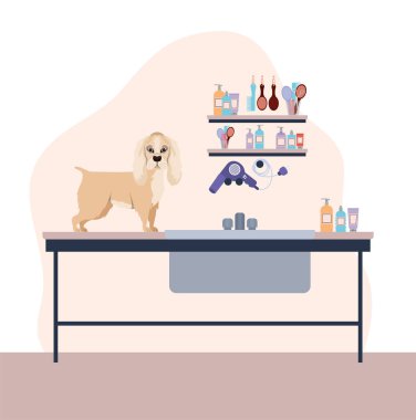 sevimli cocker spaniel köpek hayvan karakteri