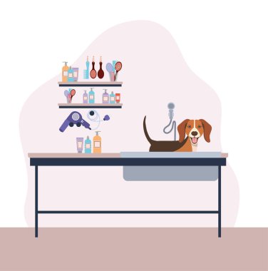 sevimli köpek beagle evcil hayvan karakteri