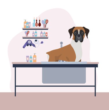 sevimli boksör köpek hayvan karakteri