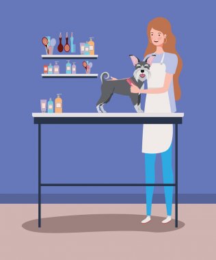 sevimli schnauzer köpek hayvan karakteri