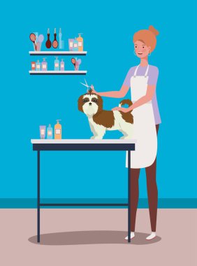 sevimli shistzu köpek hayvan karakteri