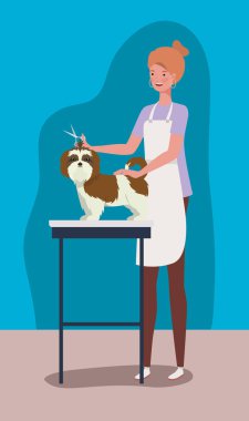 sevimli shistzu köpek hayvan karakteri