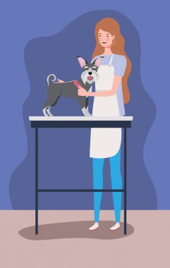 sevimli schnauzer köpek hayvan karakteri