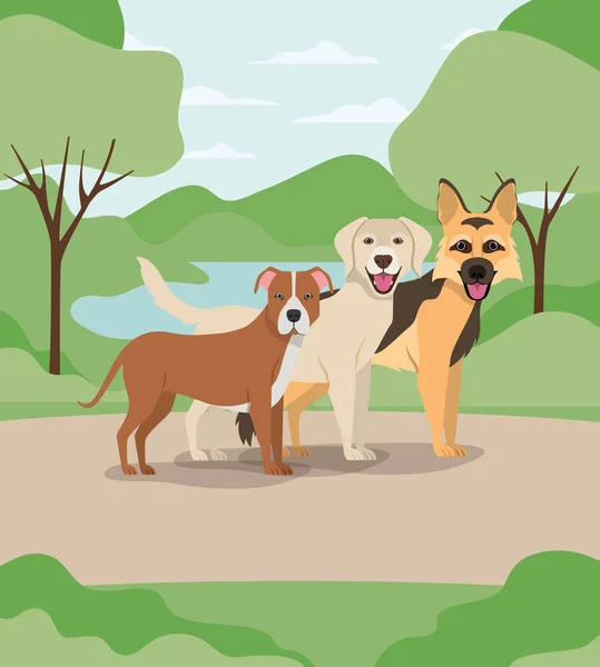 Grupo de perros mascotas en los personajes del campamento — Vector de stock