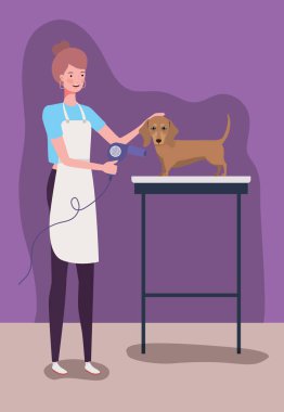 sevimli dashhund köpek hayvan karakteri