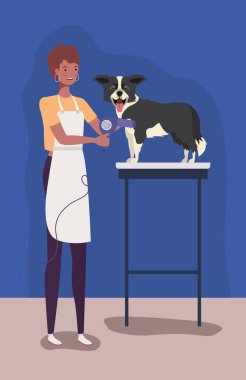 sevimli sınır collie köpek hayvan karakteri