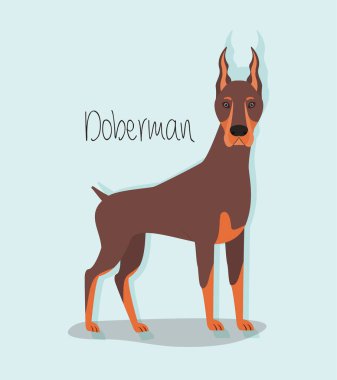 sevimli doberman köpek hayvan karakteri