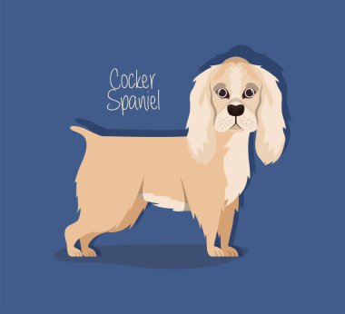 sevimli cocker spaniel köpek hayvan karakteri