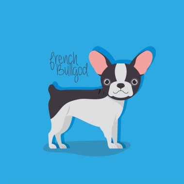 sevimli fransız bulldog evcil hayvan karakteri