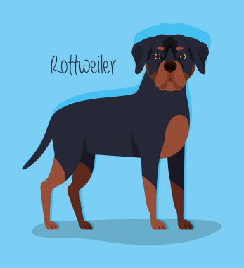 sevimli rottweiler köpek hayvan karakteri