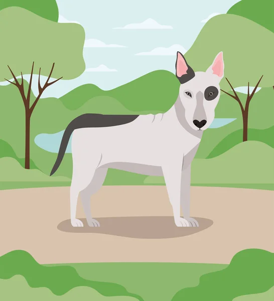 Kampta sevimli boğa terrier köpek pet — Stok Vektör