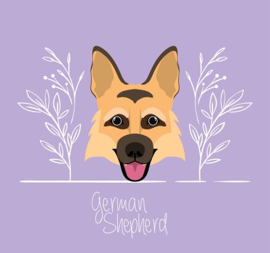 sevimli alman çoban köpeği hayvan kafa karakteri
