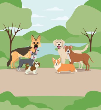 kamp karakterleri köpek evcil hayvan grubu