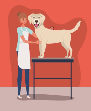 sevimli labrador retriever köpek hayvan karakteri