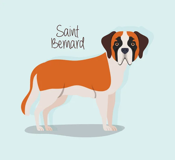 Niedliche Saint Bernard Hund Haustier Charakter — Stockvektor