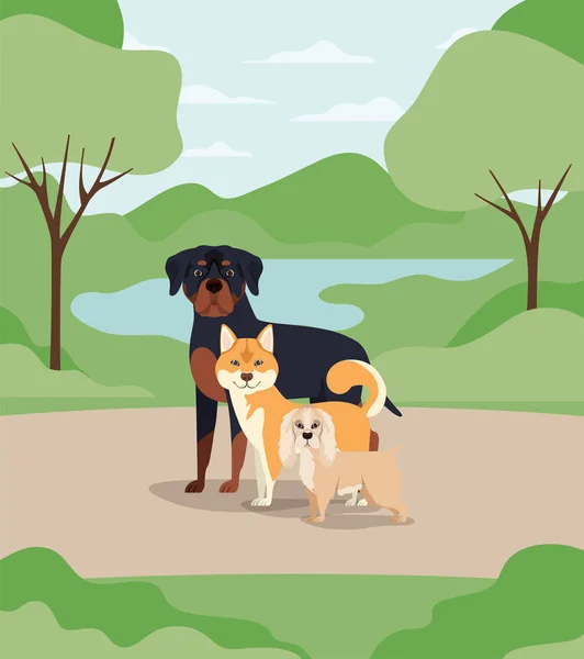 Grupo de perros mascotas en los personajes del campamento — Vector de stock