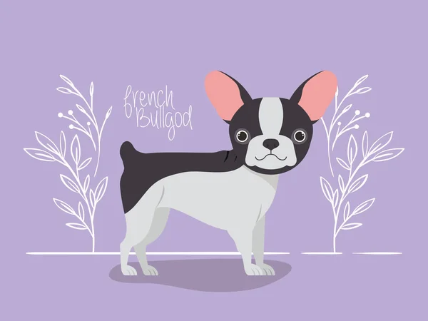 Niedliche Französische Bulldogge Haustier Charakter — Stockvektor