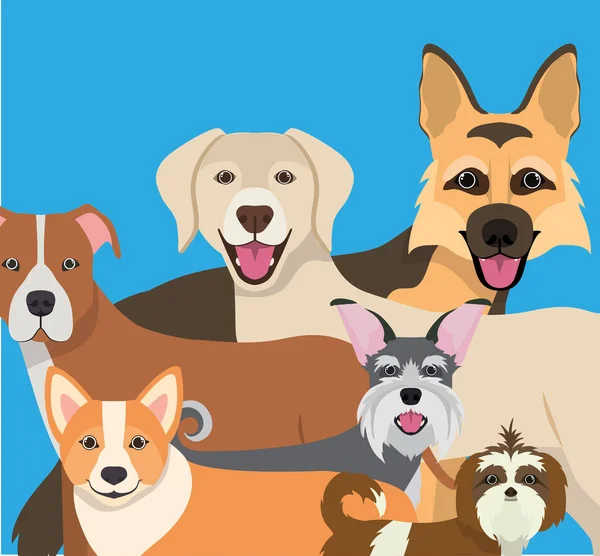 Grup de câini animale de companie caractere — Vector de stoc