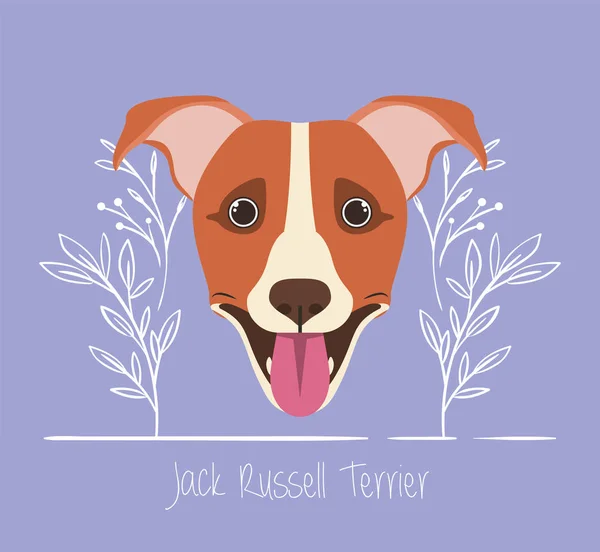 Niedlichen Jack Russell Terrier Hund Haustier Kopf Charakter — Stockvektor