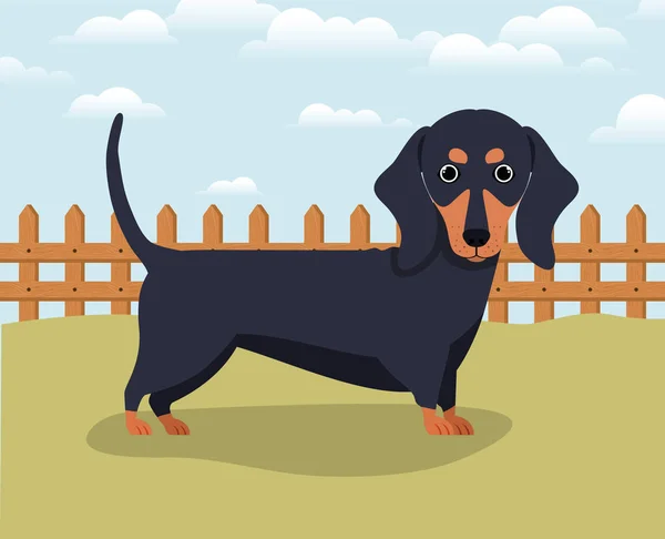 Mignon chien dashhund animal de compagnie dans le camp — Image vectorielle