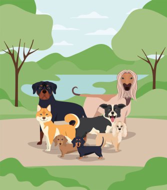 kamp karakterleri köpek evcil hayvan grubu