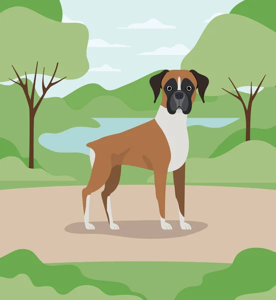 Lindo perro boxeador mascota en el campamento — Vector de stock
